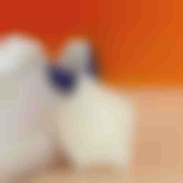 Papēža spilventiņš sāpju mazināšanai papēža zonā | STEPHEEL