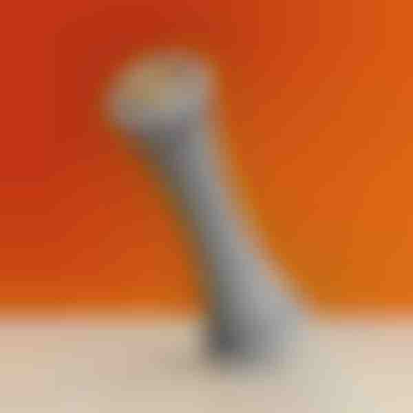 Masāžas rullītis saspringtu pēdu atslābināšanai | STEPROLL